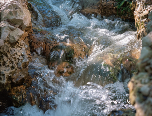 The Waters of Affliction: The Story of Pierre Deschamps